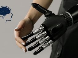 Aunque todavía quedan muchos retos por superar, el camino hacia la recuperación del tacto parece cada vez más claro.ESPECIAL/Pexels y Canva