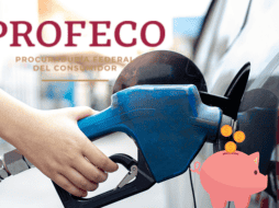 En su reciente informe intitulado 