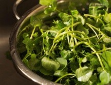 Este alimento es rico en fibra, folatos, vitamina C, vitamina A, calcio y hierro. ESPECIAL / CANVA