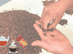 Consume cafeína de una manera saludable. SUN / ARCHIVO