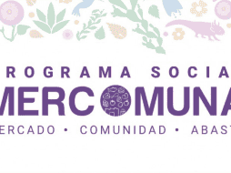A diferencia de los pagos en efectivo, los vales ofrecen mayor seguridad a los beneficiarios para obtener alimentos y otros productos esenciales. ESPECIAL/SECRETARIA DE BIENESTAR E IGUALDAD SOCIAL