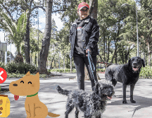 Cuida la alimentación de tu perro. SUN / ARCHIVO