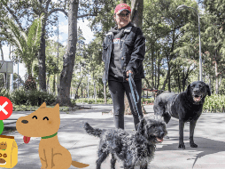 Cuida la alimentación de tu perro. SUN / ARCHIVO