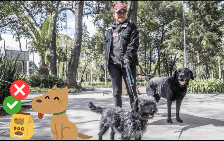 Cuida la alimentación de tu perro. SUN / ARCHIVO