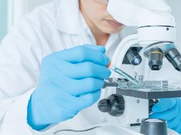 Al tratarse de un estudio observacional, faltan más datos para llegar a una conclusión. ESPECIAL / CANVA