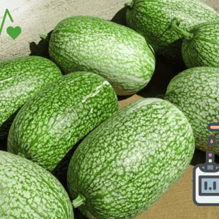 ¿Cómo comer el chilacayote para bajar el azúcar en la sangre?