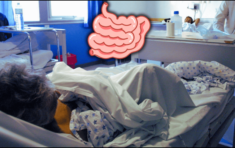 Aunque la inmunidad entrenada puede ser beneficiosa para combatir infecciones, también podría contribuir al desarrollo de enfermedades inflamatorias. EL INFORMADOR / ARCHIVO