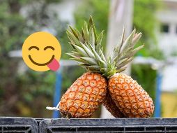 Además, posee una enzima llamada “bromelina”, la cual es la responsable del sabor acidito que se produce en la boca al morderla. UNSPLASH / F. DANTAS