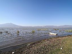 Las altas temperaturas registradas en los últimos años en la Entidad han traído al Lago de Chapala una serie de afectaciones. EL INFORMADOR / H. Figueroa