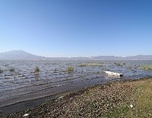 Las altas temperaturas registradas en los últimos años en la Entidad han traído al Lago de Chapala una serie de afectaciones. EL INFORMADOR / H. Figueroa