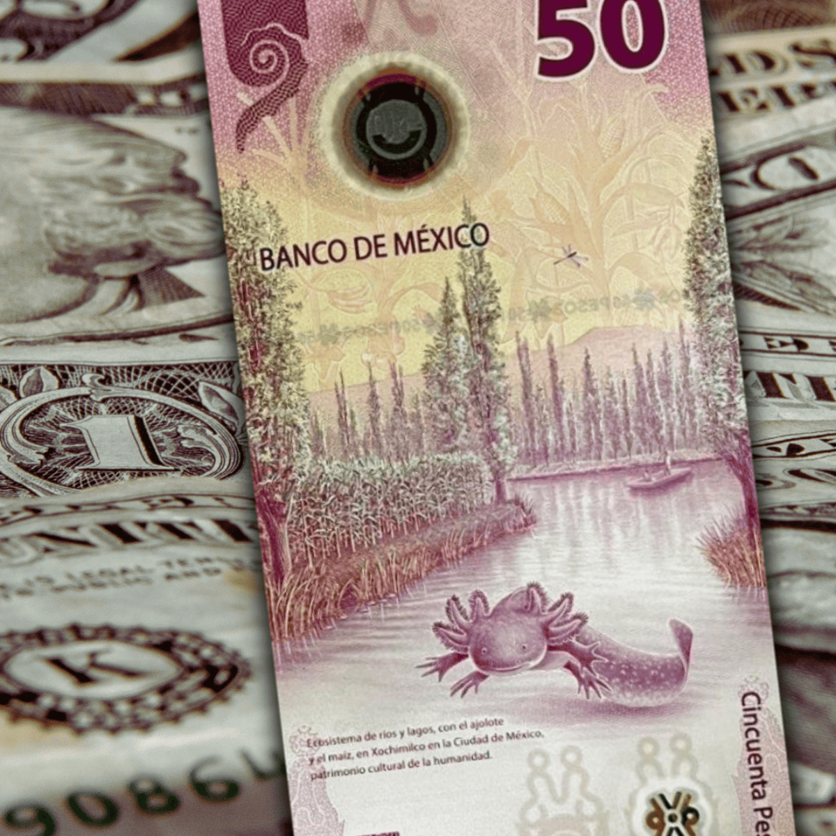 El dólar sube marginalmente frente al peso HOY | El Informador