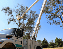 El programa fue lanzado por la Gerencia Forestal de la Agencia Metropolitana de Bosques Urbanos. ESPECIAL