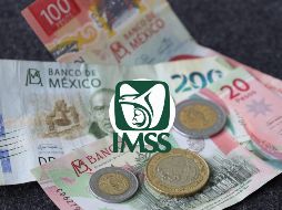 Mantente informado a través de los canales oficiales del IMSS para conocer la fecha exacta y cualquier actualización relevante. ESPECIAL / CANVA