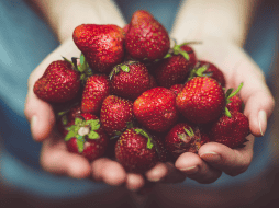 Durante su cultivo y transporte, las fresas pueden entrar en contacto con pesticidas, bacterias y otros contaminantes. 