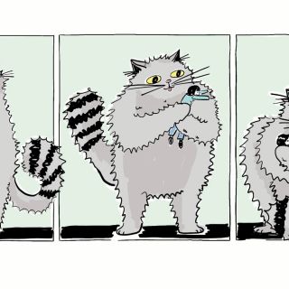 Especies compañeras