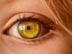 La inteligencia artificial, al estudiar esta habilidad, ha logrado identificar ciertas frases que las caracterizan, las cuales tienen un significado y propósito específicos. Pixabay