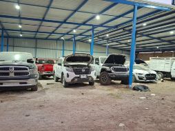 Las unidades de alta gama, algunas de modelo reciente y otros autos clásicos, fueron localizadas en un predio ubicado en la colonia El Roble, en Zapopan. CORTESÍA / Fiscalía de Jalisco