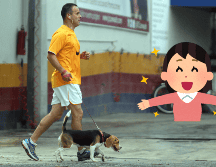 Estos sencillos actos te ayudan a ser más feliz. EL INFORMADOR / ARCHIVO