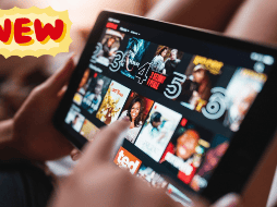 Disfruta de los nuevos estrenos de Netflix. ESPECIAL / Pixabay @yousafbhutta