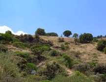 Se estima que el proceso pueda concluir a inicios del segundo semestre del año. ESPECIAL / X: @SemadetJal