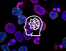 La Inteligencia Artificial continúa favoreciendo los campos de biología y biomedicina. UNSPLASH / National Cancer Institute