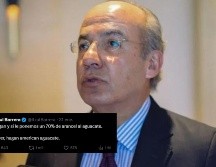 La discusión en línea refleja las tensiones y preocupaciones sobre las políticas comerciales y las implicaciones económicas que tales propuestas pueden tener para los productores de aguacate en México. INFORMADOR/ARCHIVO