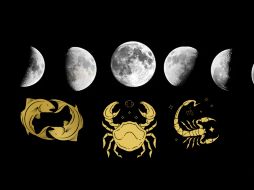 Si bien cada signo tiene su propio estilo de aprendizaje y sus fortalezas, los signos mencionados anteriormente son reconocidos por su capacidad para absorber y procesar información de manera eficaz. CANVA