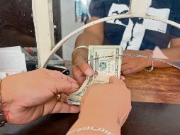 La moneda nacional ha cedido terreno ante la divisa norteamericana. EL INFORMADOR/ A. Navarro