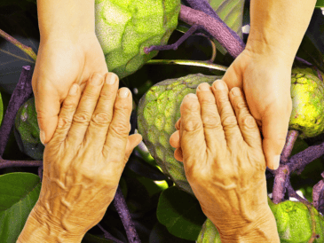 La vitamina C presente en la chirimoya es un potente antioxidante que protege al organismo del daño causado por los radicales libres. AP / ARCHIVO