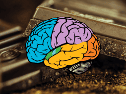 Las personas que consumen cacao registraron una menor cantidad de estrés. PEXELS / CANVA