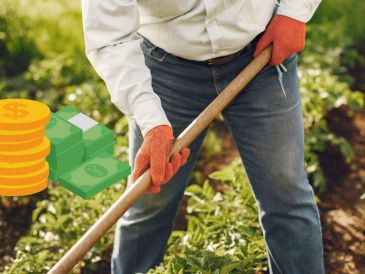 el apoyó se dará solo a agricultores   CANVA/ESPECIAL