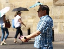 La temperatura media del agua en superficie en enero entre las latitudes 60ºS-60ºN fue de 20,78 ºC, el segundo valor más alto registrado para el mes de enero después de enero de 2024. EL INFORMADOR/ ARCHIVO.