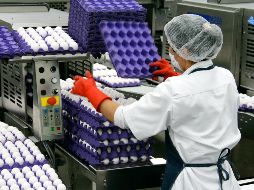 A nivel nacional se registró una generación de 73 mil 167 puestos de trabajo durante enero. EL INFORMADOR/Archivo