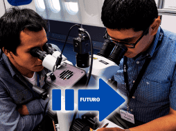 Áreas como la ingeniería ambiental y la educación en competencias digitales serán clave para la sostenibilidad y la adaptación a los avances tecnológicos. AFP / ARCHIVO