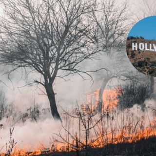 Incendio en Los Ángeles: Empresa eléctrica lo podría haber iniciado