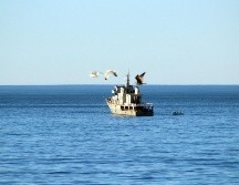 Dada la posibilidad de que haya bancos de niebla debido al nuevo frente frío, el SMN recomienda tomar precauciones. NTX / ARCHIVO