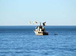 Dada la posibilidad de que haya bancos de niebla debido al nuevo frente frío, el SMN recomienda tomar precauciones. NTX / ARCHIVO