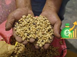 El café seguirá subiendo de precio según expertos de Brasil. EFE / ARCHIVO