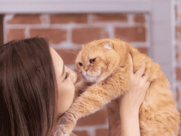 Esta acción puede mejorar la comunicación con tu gato. CANVA