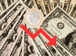 En los últimos siete días, el dólar ha tenido una caída del 0,63%. Unsplash  / Canva