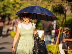 El clima en Jalisco es conocido como uno de los más agradables en el país, debido a su variedad en las diferentes regiones. EL INFORMADOR / ARCHIVO