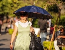 El clima en Jalisco es conocido como uno de los más agradables en el país, debido a su variedad en las diferentes regiones. EL INFORMADOR / ARCHIVO