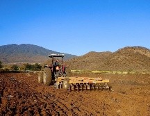 Se plantea reconvertir 796 hectáreas de agave a caña de azúcar. ESPECIAL / Gobierno de Jalisco