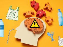 La detección de microplásticos en el cerebro humano subraya la necesidad de investigaciones más profundas para comprender sus rutas de entrada, mecanismos de acumulación y posibles efectos en la salud.  CANVA
