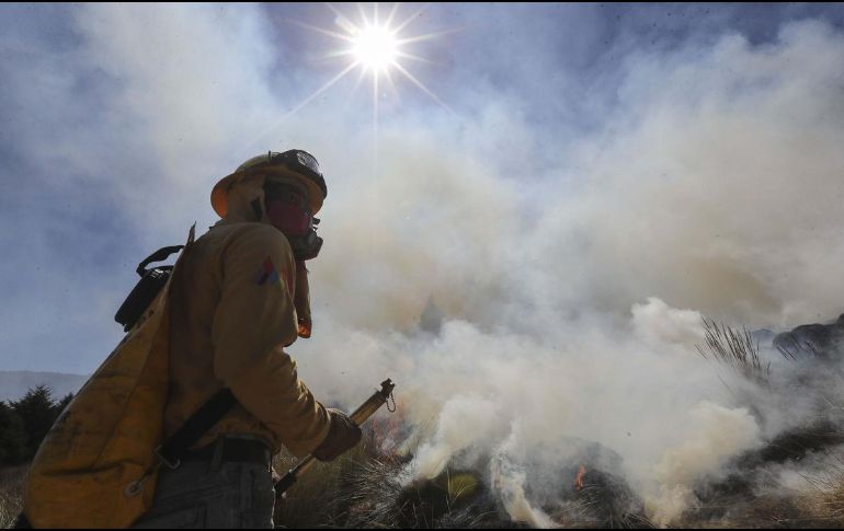 El gobierno de Javier Milei califico los responsables de los incendios en la Patagonia argentina como 