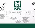 El trámite de asignación del NSS no genera ninguna obligación adicional con el IMSS y es completamente gratuito. IMSS