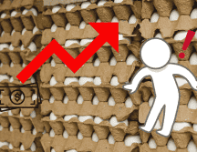 El Departamento de Agricultura informa que más de 23 millones de aves fueron sacrificadas el mes pasado y más de 18 millones fueron asesinadas en diciembre para limitar la propagación del virus de la gripe aviar. ESPECIAL / CANVA.