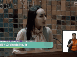 Entre otras medidas, se propone que los mecanismos de diálogo entre todas las partes fomenten medidas de diversificación de mercados. ESPECIAL/ YOUTUBE/ Canal Parlamento De Jalisco.