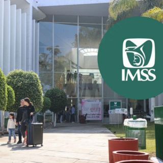 IMSS: Así puedes dar de alta a tu pareja sin matrimonio