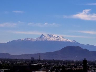 Los fuertes vientos que se esperan podrían tumbar árboles, además habrá bancos de niebla que reducirán la visibilidad. NTX / ARCHIVO